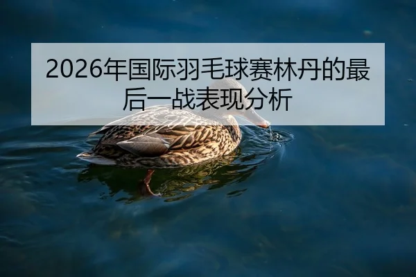 nian-guo-ji-yu-mao-qiu-sai-lin-dan-de-zui-hou-yi-zhan-biao-xian-fen-xi-2-277.jpg