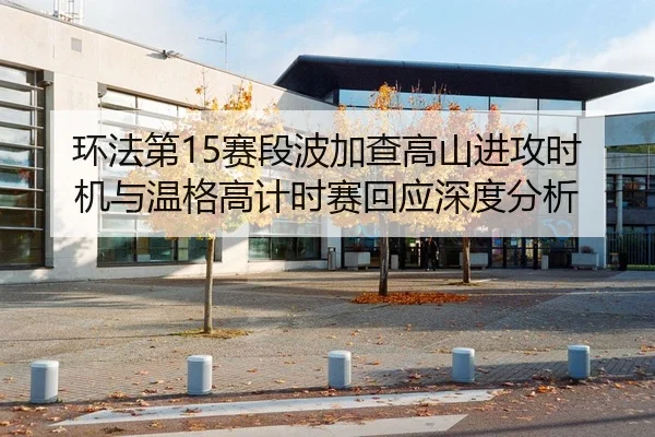 环法第15赛段波加查高山进攻时机与温格高计时赛回应深度分析