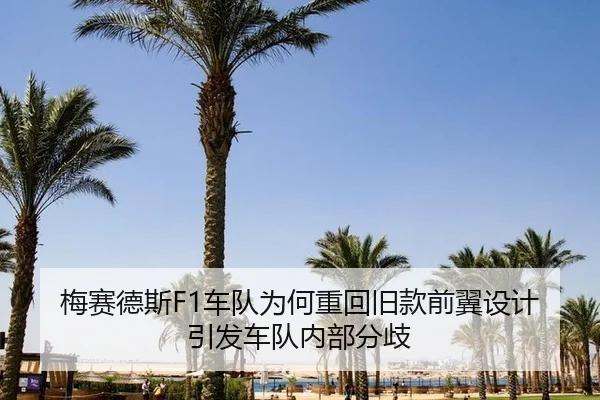 梅赛德斯F1车队为何重回旧款前翼设计引发车队内部分歧
